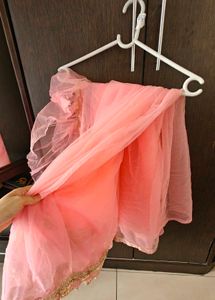 New Peach Net Saree
