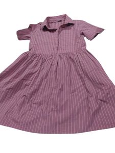 Striped Pink Shirt Dress
