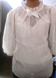 Organza Transparent White Top