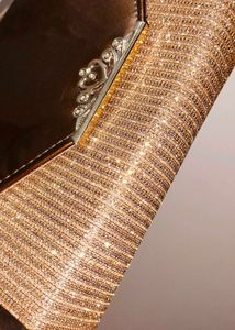 Gold &amp; Brown Clutch