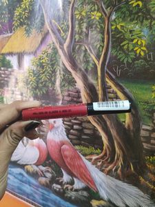 Lakme Forever Matte Liquid Lip colour