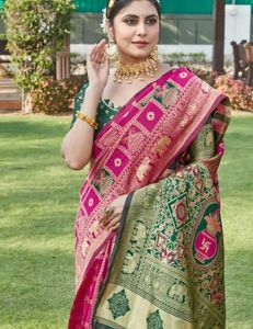 Elegant Pink &amp; Green Saree
