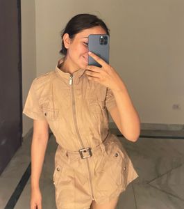 Brown Dress