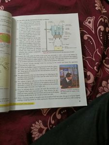 Class 10th Chemistry S Chand Book