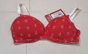 Lightly Padded Soft Envie Brand Bra