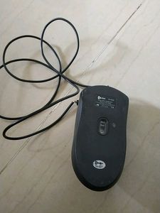 New Mouse