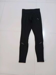 Puma tight