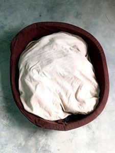 Dog's Bed