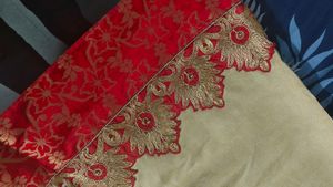 Elegant Embroidered Sari