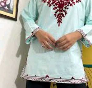 Beautiful Kashmiri Top 💚