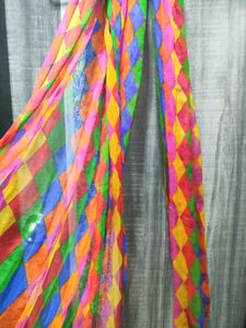 Vibrant Multicolour Chiffon Dupatta