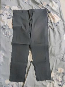 Premium Cotton Pant