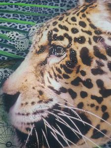 Animal Print Top