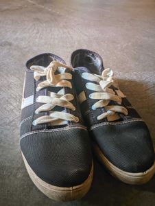 Jute