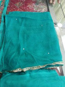 Elegant Salwar Suit (Hidden Minor Issue)
