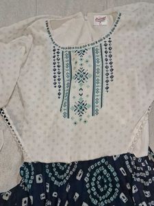 Stylish Printed Dress