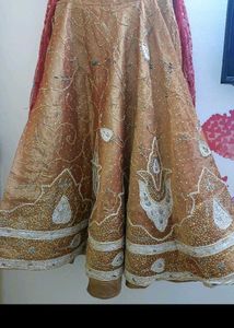 Vintage Elegant Embellished Lehnga
