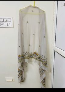 Pakistani Partywear Suit