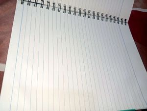 5 Subject Notebook (300pages)