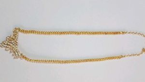 Gold Finish Long Necklace