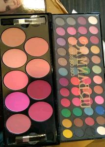 Eyeshadow Plus Blush Pallet