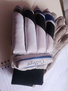 Cricket Batting Gloves At Very Low Cost