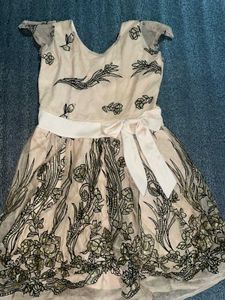 Elegant Embroidered Party Dress