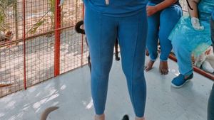Navy Blue Leggings