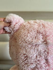 Teddy Bear (2 Feet) Ht