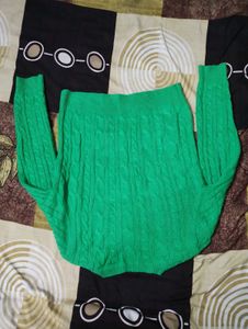 Women Self Design Green Sweater