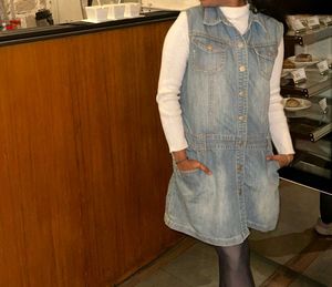 Denim Sleeveless Dress