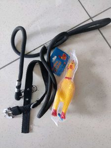 Pet Leash & Toy Set
