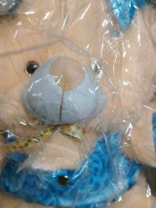 Cute Plush Bear