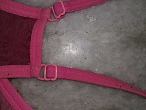 Nike&#39;s Sports Padded Bra