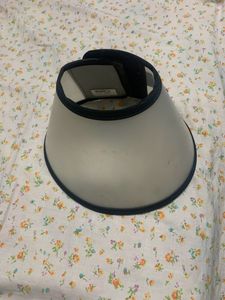 Cat And Dog E Collar Velcro