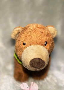 Near Plush Toy