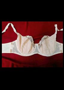 🇳🇿💫🎀Elegant Sheer Lace Bra