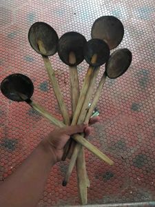 Coconut Shell Spoons - Set of 6