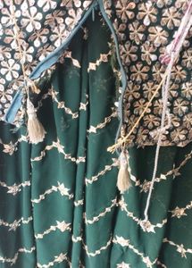 Green Net Dupatta L.