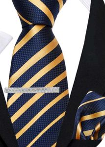 Striped Blue & Gold Tie