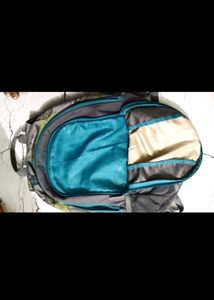 Wildcraft Backpack