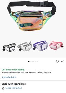 Iridescent Waist Bag Fanny Purce