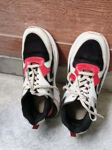 shoe