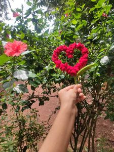 crochet lavender heart shaped