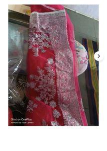 Beautiful Net Saree
