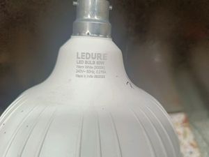 Large Size Light
