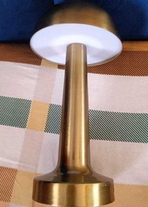 Chargeable Mushroom Lamp