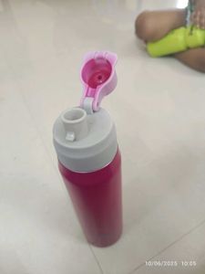 Stainless Steel 1 L Bottle