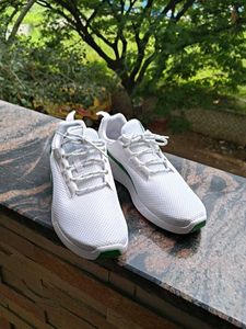 Puma - brand new 100 original