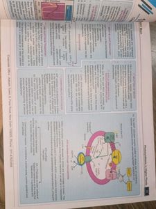 NCERT Maps for NEET - Botany